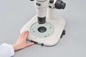 SMZ800N Stereomikroskop