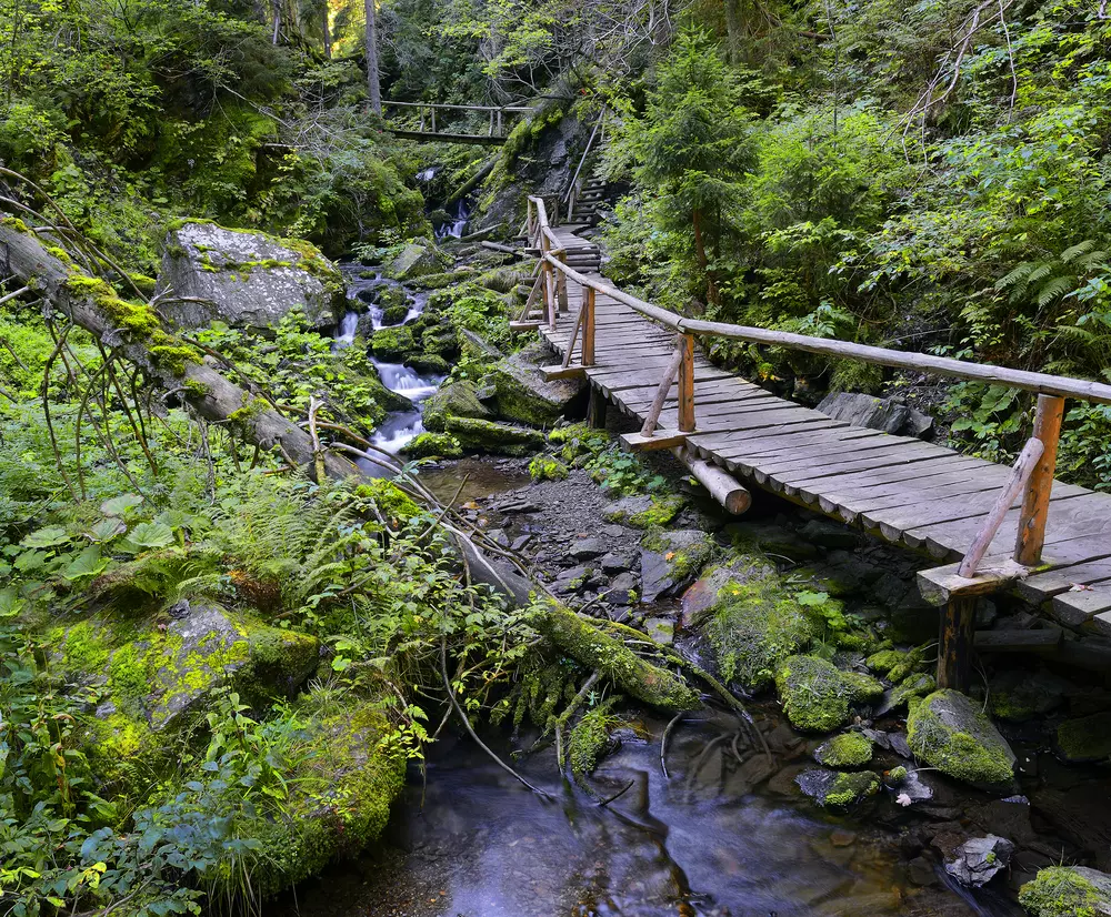 Naučná stezka bílá opava II